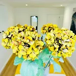 Luxury Central Lisbon Flat, Perfect And Ideal For Tourists